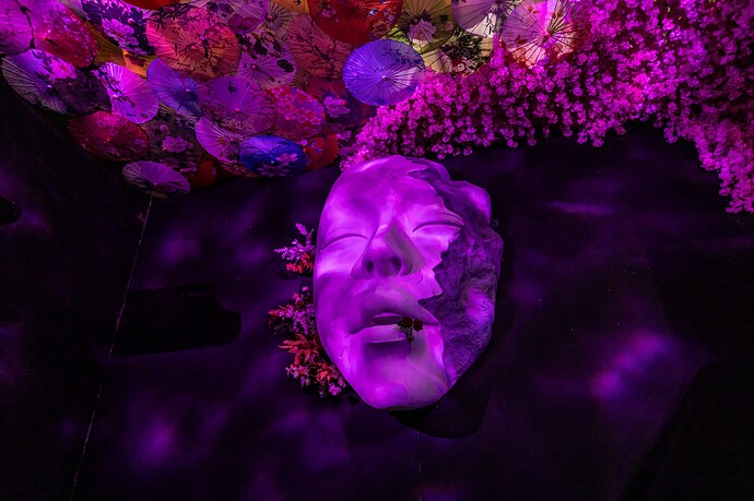 544560589_122128735904926360_4828045442431866263_n