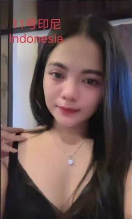 Image_20251205160436_1210_2