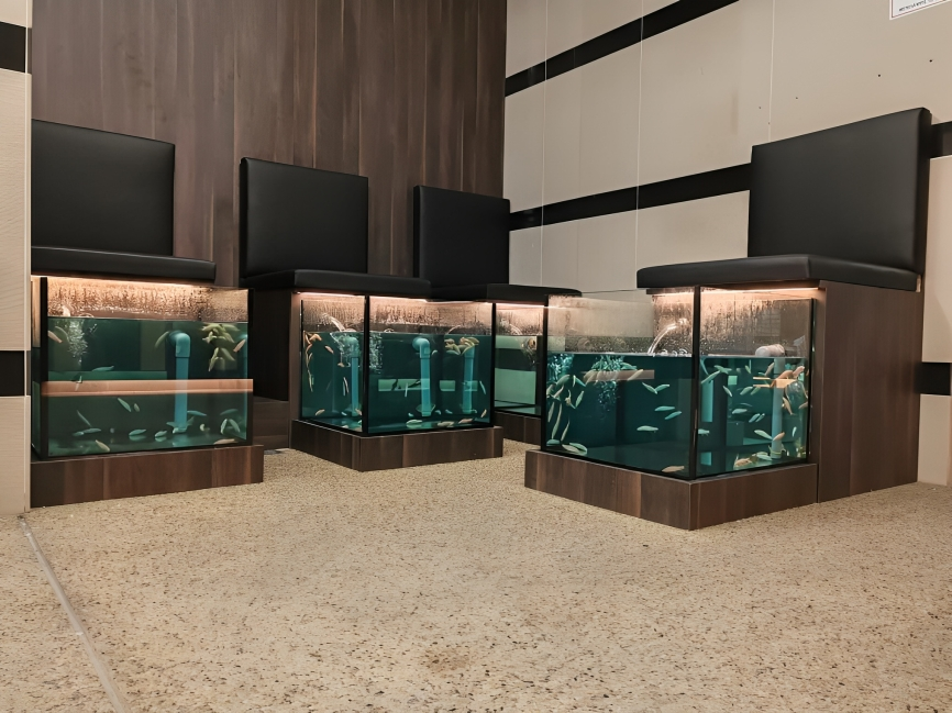 WhatsApp Image 2025-11-12 at 03.05.16_708eaa69